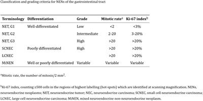 Long-term clinical outcomes of [177Lu]Lu-DOTATATE in patients with metastatic neuroendocrine tumors